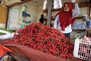 Jalur Distribusi Terganggu, Harga Cabai di Siak Makin Pedas